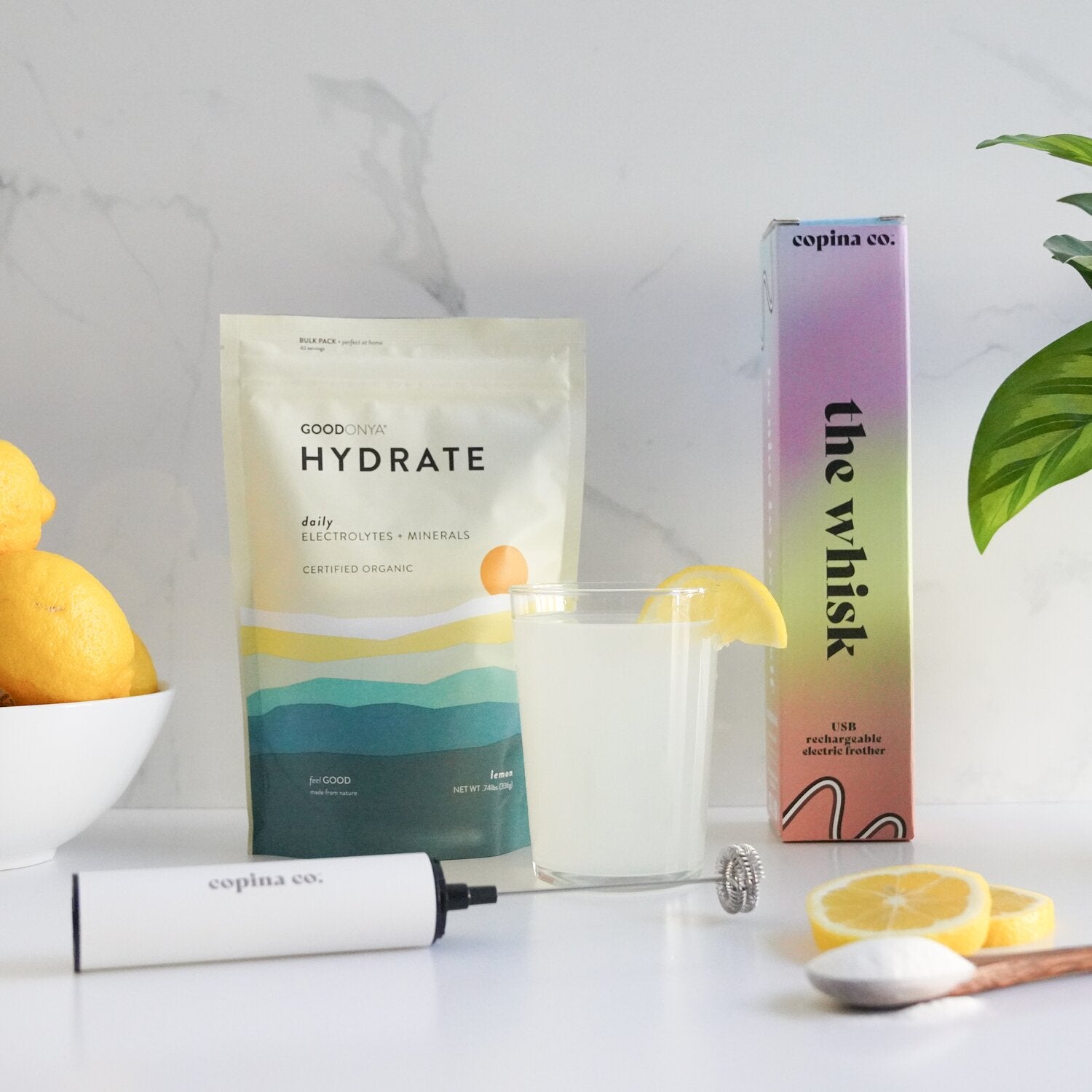HYDRATE + Copina Co. Whisk Bundle
